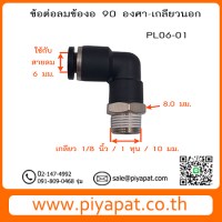 PL06-01 รูปโชว์